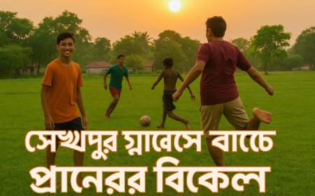 সেখপুর গ্রামের মাঠে গ্রীষ্মের বিকেল মানেই প্রাণের মিলনমেলা