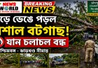 ঝড়ে ভেঙে পড়ল 🌳 বিশাল বটগাছ! ⛔ বন্ধ সীমান্ত সড়ক