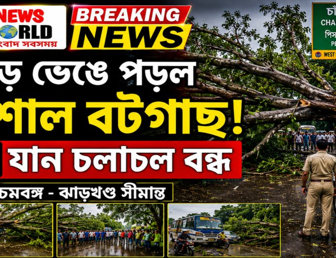 ঝড়ে ভেঙে পড়ল 🌳 বিশাল বটগাছ! ⛔ বন্ধ সীমান্ত সড়ক