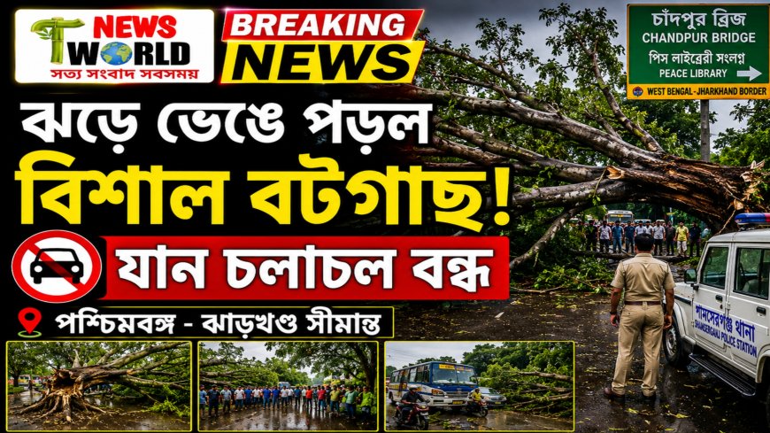 ঝড়ে ভেঙে পড়ল 🌳 বিশাল বটগাছ! ⛔ বন্ধ সীমান্ত সড়ক